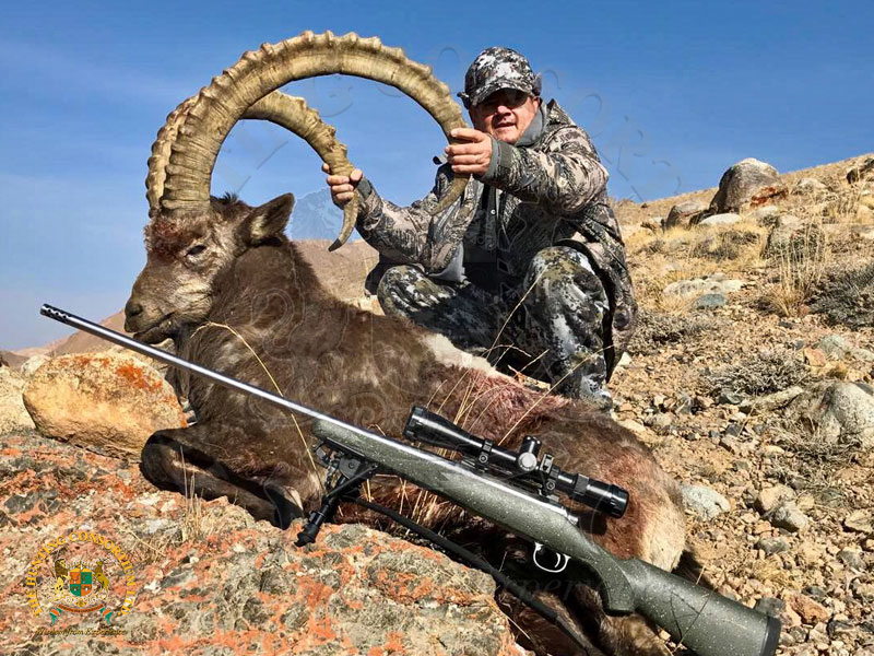 Mid Asian Pamir Ibex Hunting in Tajikistan. The best Mid Asian Pamir Ibex Hunting Trips in the World.
