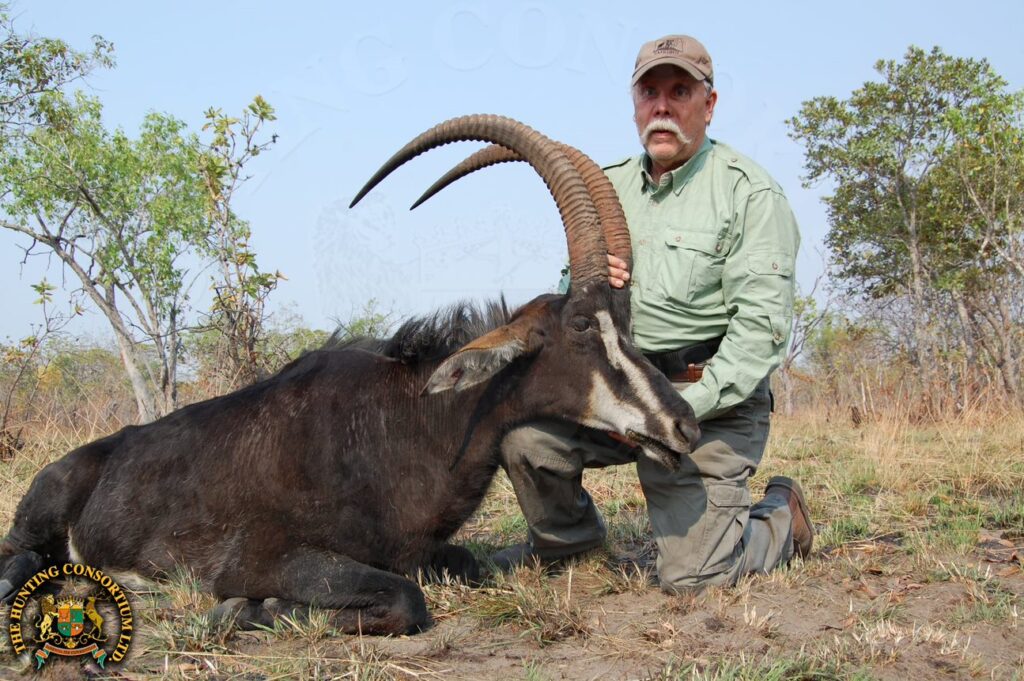 Photo of our client, Dr. Stand McGowen with his Sable Hunting in Mozambique. Sable hunts in Mozambique. Sable Hunts in Africa.