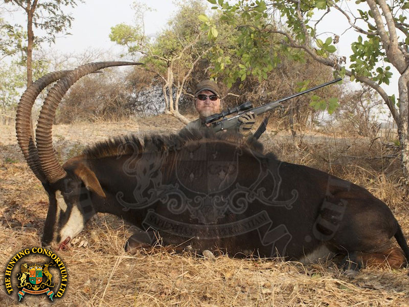 Photo of our client with his Sable Hunting in Zambia. Sable hunts in Zambia. Sable hunts in Africa.