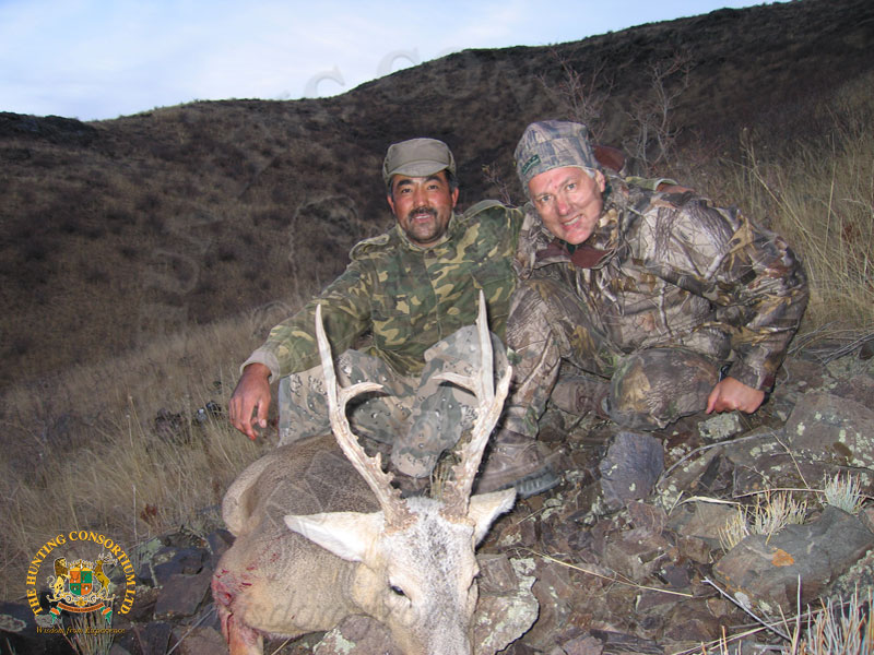 Siberian Roe Deer Hunting in Kazakhstan