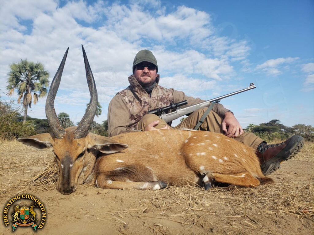 Chobe Bushbuck Hunting in Zambia Bushbuck hunts