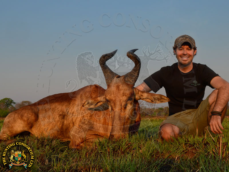 Photo of our client with his Lichtenstein Hartebeest Hunting in Zambia. Lichtenstein Hartebeest Hunts.