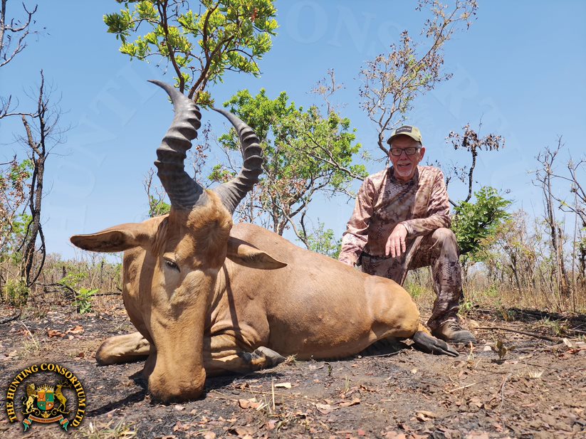 Western Hartebeest Hunting in Cameroon Hunts