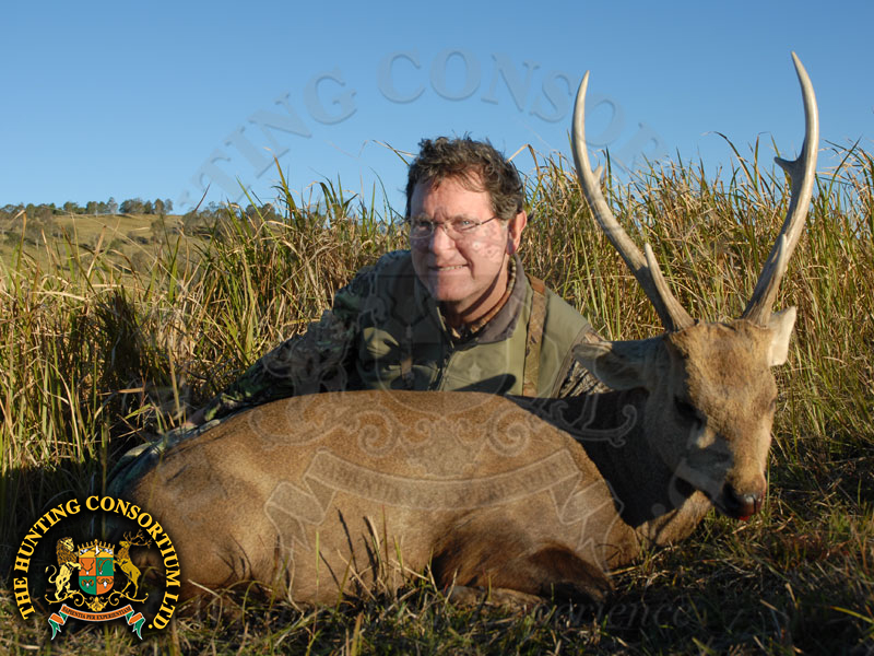 Hog Deer Hunting in Australia Hunts for Hog Deer Hunting in Australia