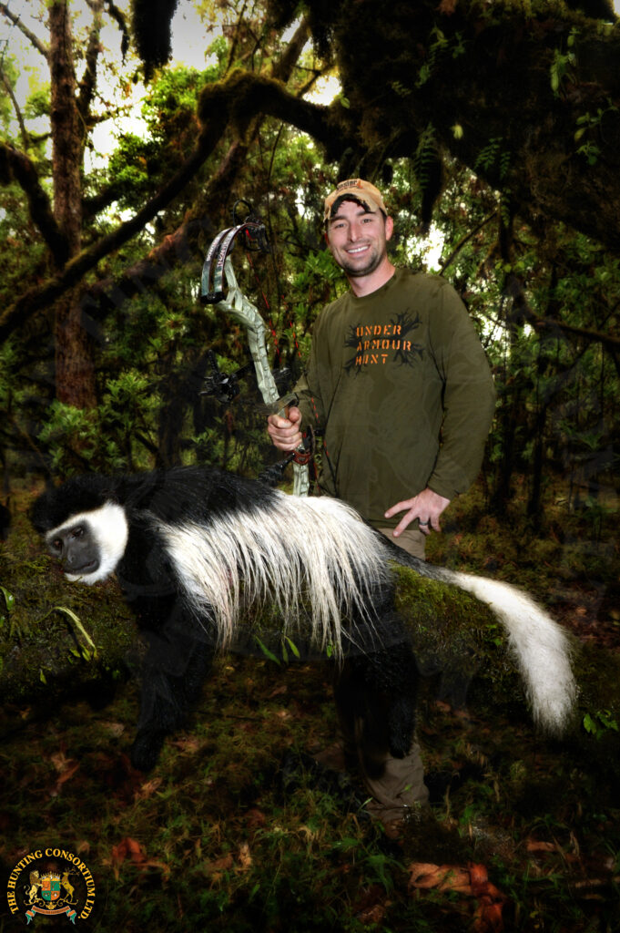 Colubus Monkey Hunting in Ethiopia. Colubus Monkey Hunts in Africa. Monkey Hunting in Ethiopia. Monkey hunting in Africa. Monkey hunts in africa