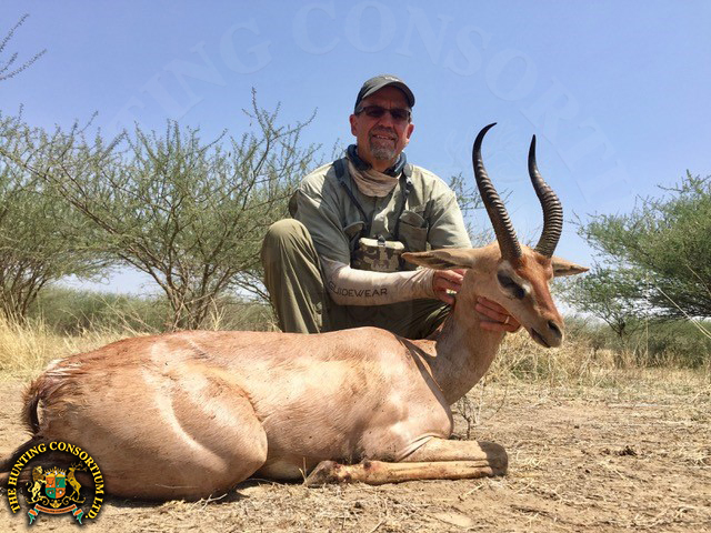 Northern Gerenuk Hunting in Ethiopia