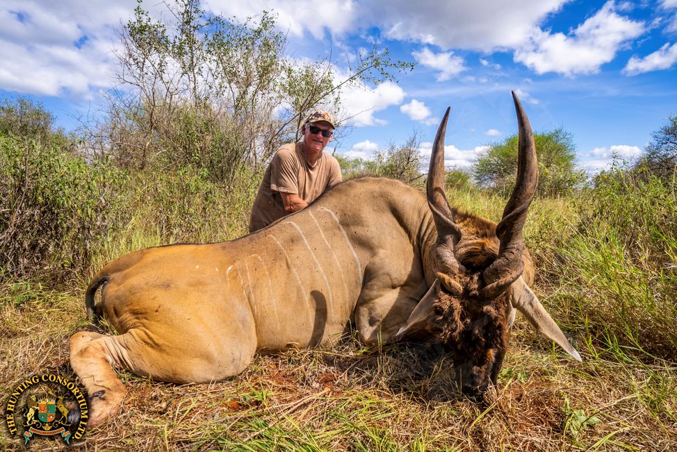 East African Eland Hunting in Tanzania Hunting Safari