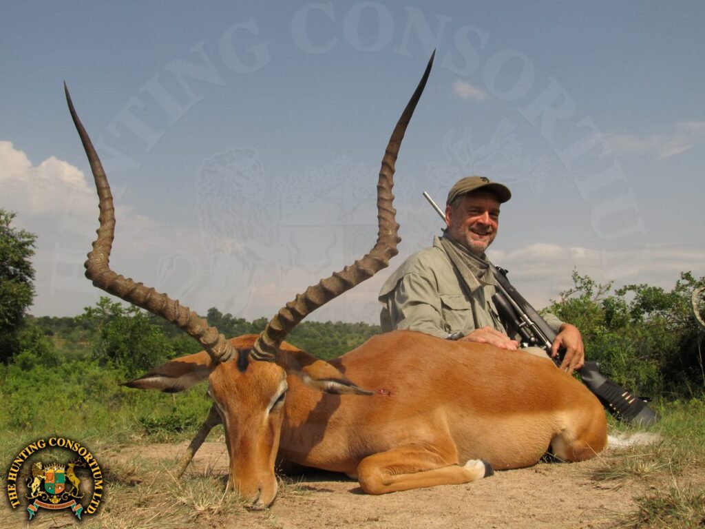 East African Impala hunts in Uganda. East African Impala Hunting in Uganda