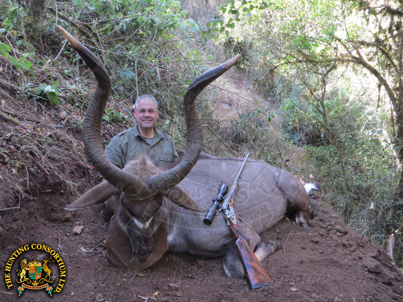 Hunting Mountain Nyala Hunting in Ethiopia.