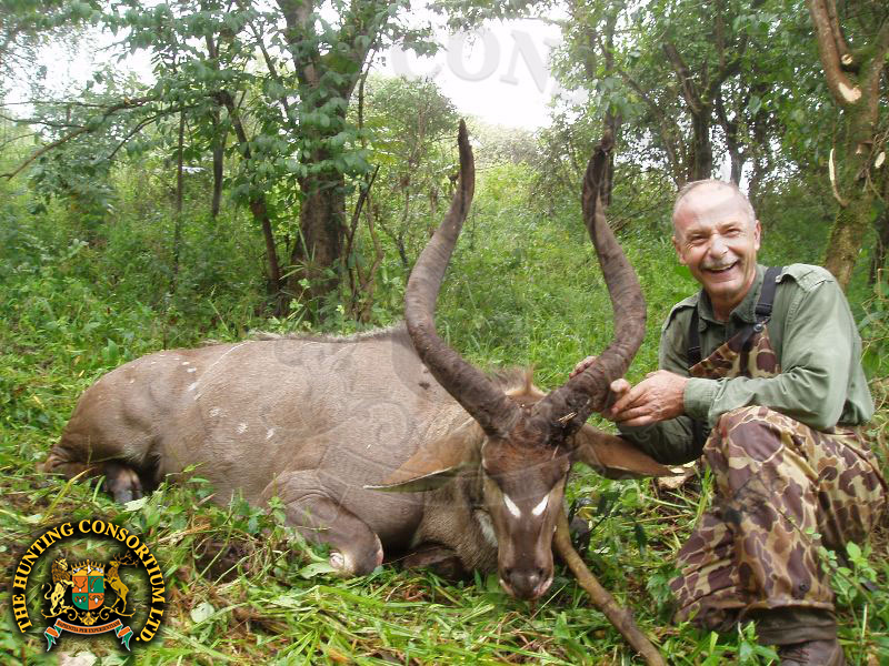 Mountain Nyala Hunting in Ethiopia. Accurate Reloading Hunting in Ethiopia