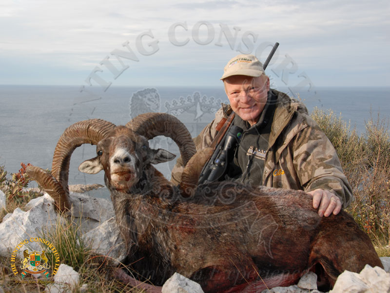 Boddington Hunting European Mouflon Hunting in Croatia. Craig Boddington Hunting Consortium