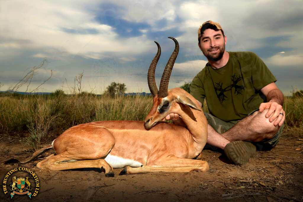 Northern Gerenuk Hunting in Ethiopia