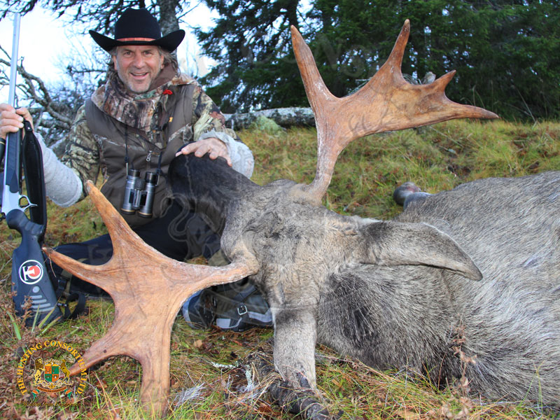 Jim Shockey Hunting European Moose Hunting in Sweden