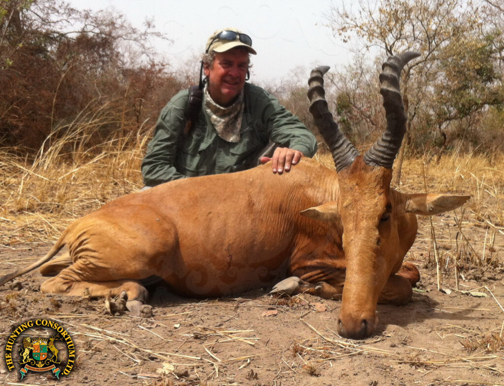Lelwel hartebeest hunting in Chad