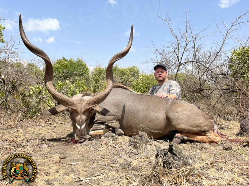 Abyssinian Greater Kudu Hunting in Ethiopia Hunts byssinian Greater Kudu Hunts