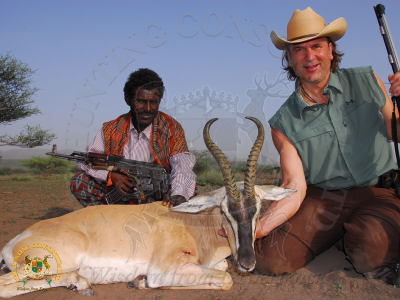 Soemmerring Gazelle Hunting in Ethiopia