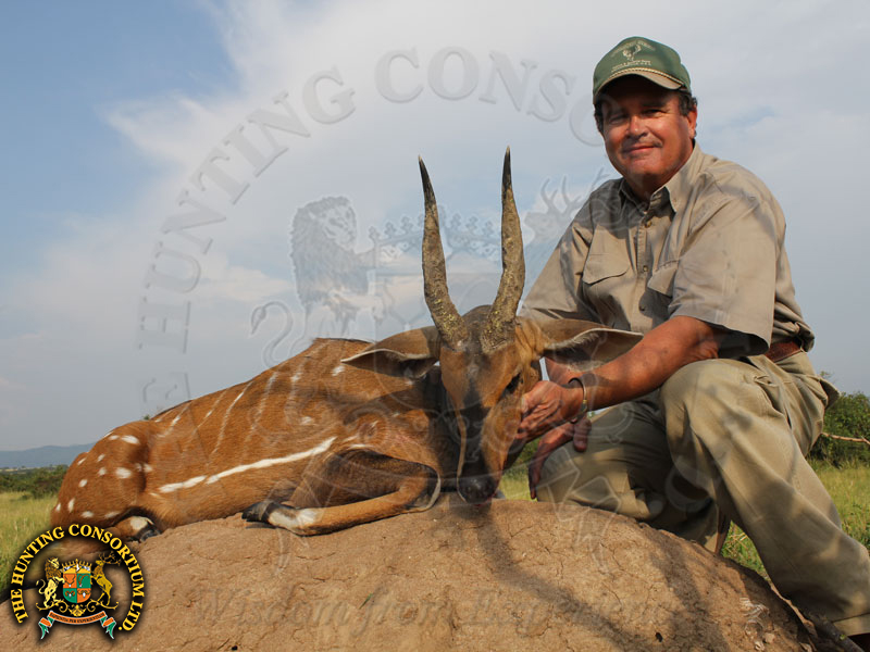 Nile Bushbuck Hunting in Uganda