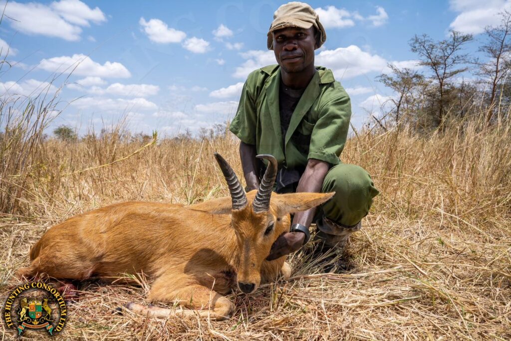 Eastern Bohor Reedbuck Hunting in Tanzania
