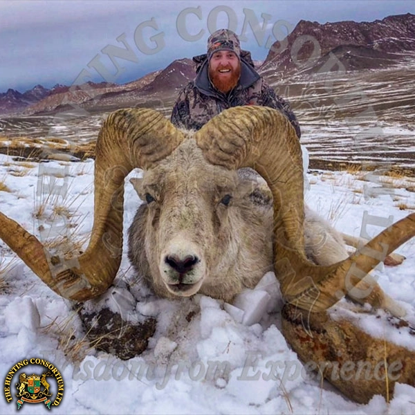 Hunting_Marco_Polo_Sheep_Hunting_Consortium_68_inch_Marco_Polo_Sheep_Hunt.jpg