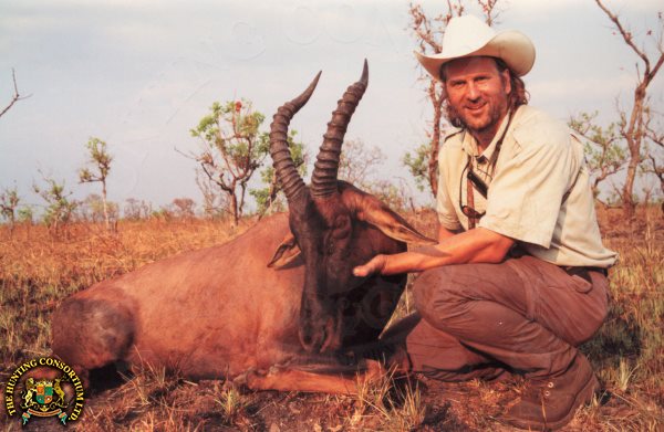 Photo of Topi hunting in Tanzania.