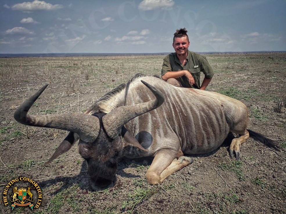 Photo of our client while Wildebeest Hunting in Tanzania. Wildebeest Hunts in Tanzania