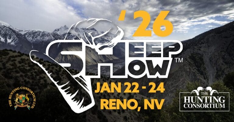 Sheep Show 2026