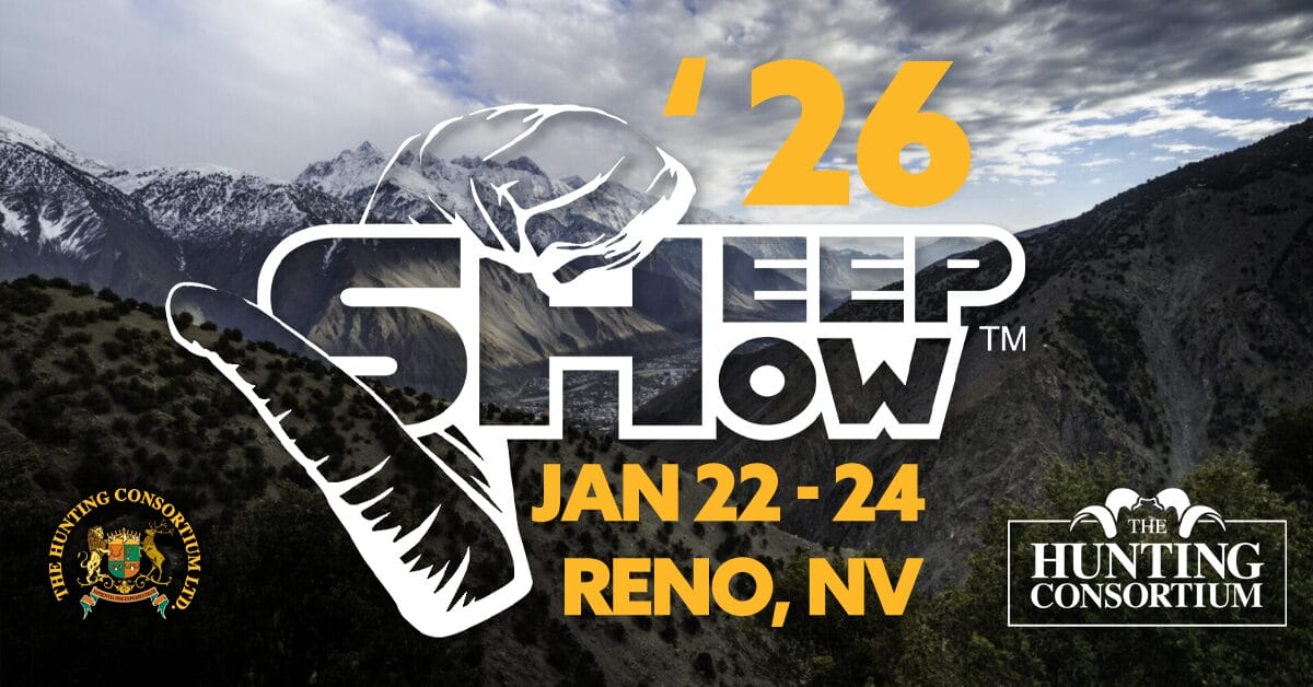 Sheep Show 2026