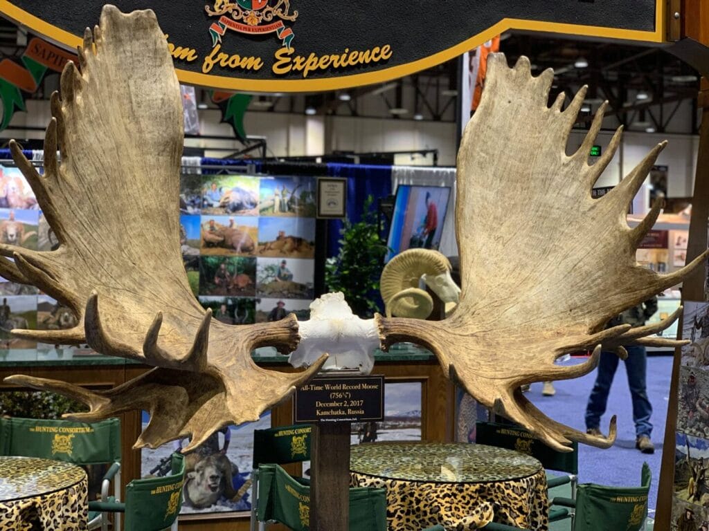 World's Largest Moose World Record Moose