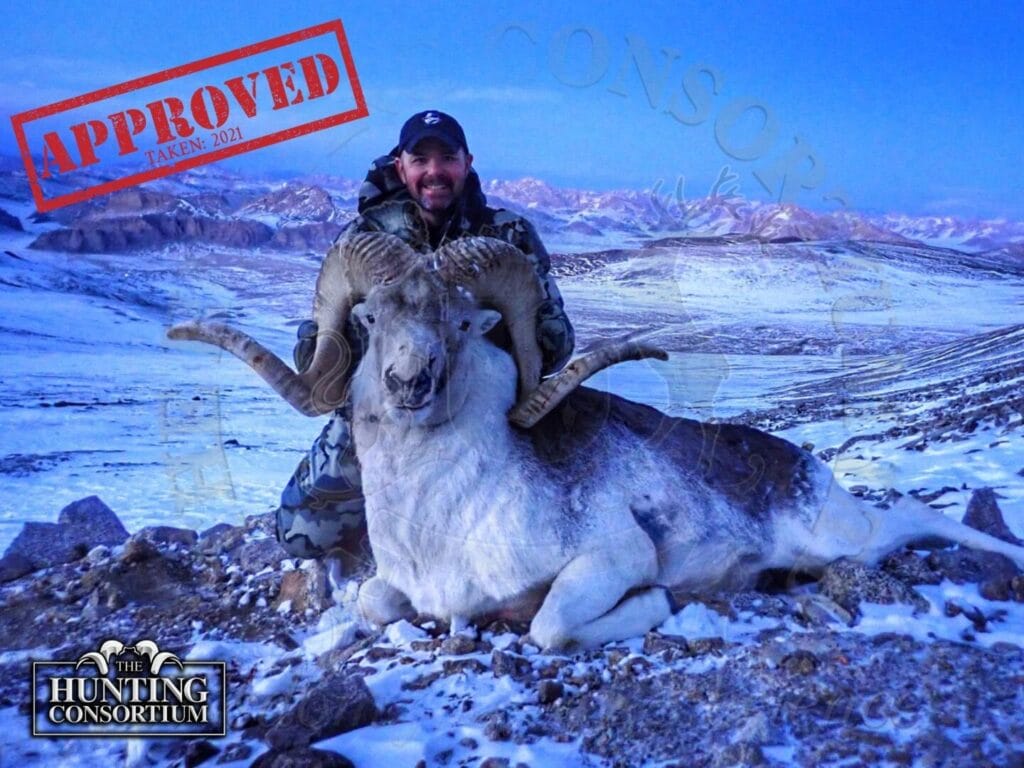 Client Chip Hunnicutt with his Marco Polo Sheep Hunt Trophy Marco Polo Sheep Import Permit 2021