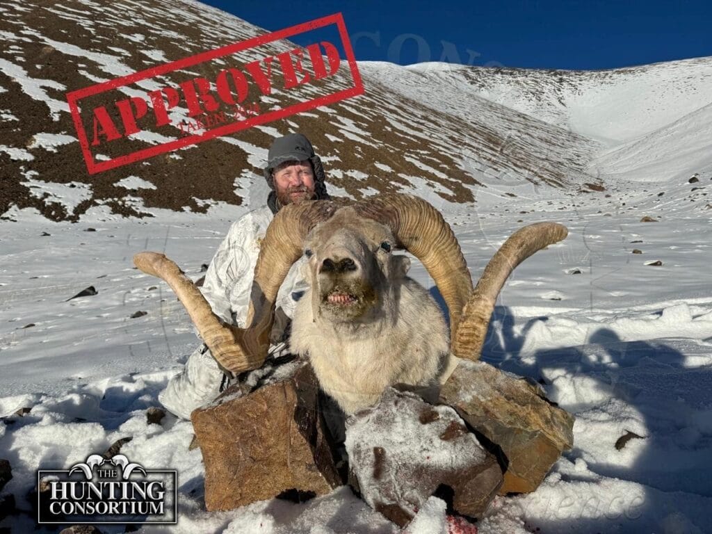 Client Michael with his Marco Polo Sheep Hunt Trophy. Marco Polo Sheep Import Permits from 2024