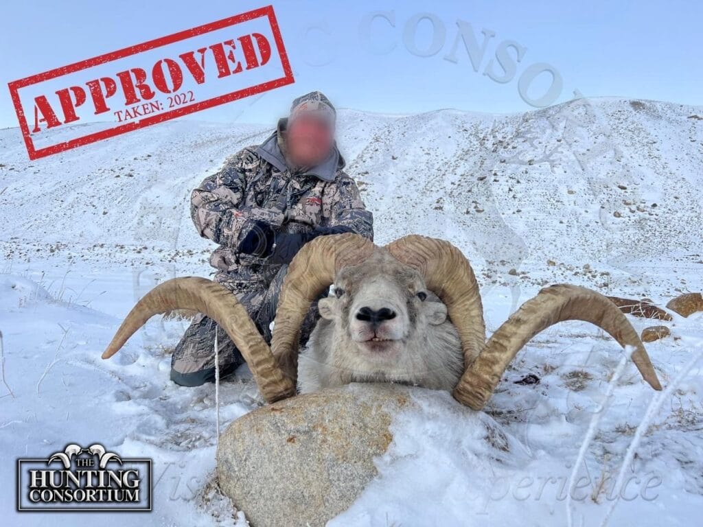 Our hunter with his Marco Polo Sheep Hunt Trophy taken in 2022. He received his approval for Marco Polo Sheep Imports