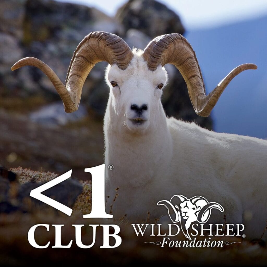 WSF Sheep Show 2026