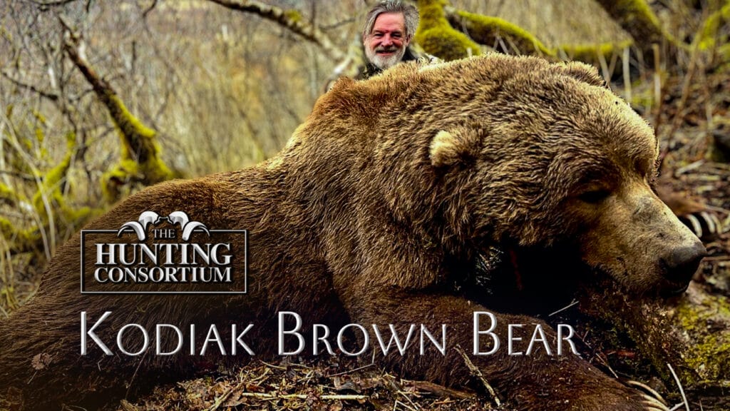 Kodiak Brown Bear Hunting – A Titan of the Alaskan Wilderness