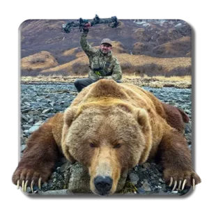 Brown Bear copy BV copy